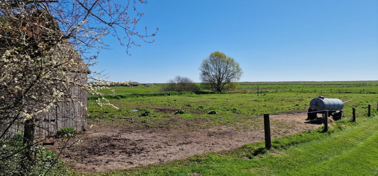 Ferienwohnung 'Gelting' - Refugium Pottloch Ostsee Kronsgaard ภายนอก รูปภาพ